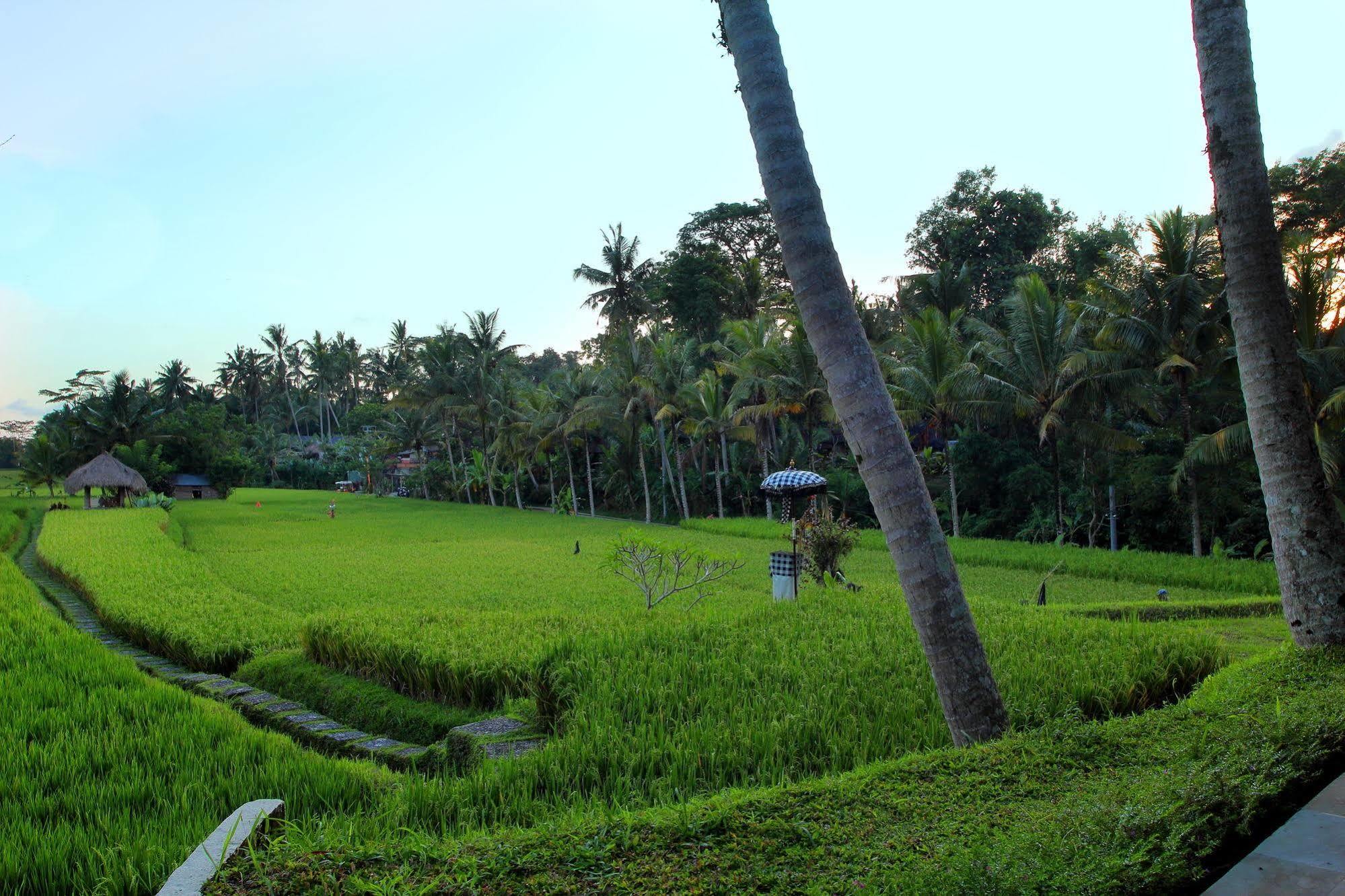 Mathis Retreat Ubud Exterior photo